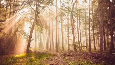 英雄联盟S13瑞士轮JDG战队陷出线危机，Kanavi坦言沟通问题影响晋级形势